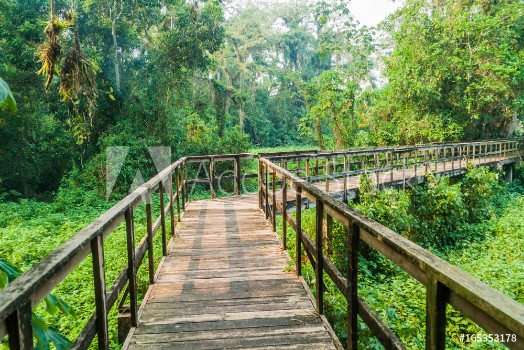 Image de Boardwalk in eco-archaeological park Los Naranjos Honduras